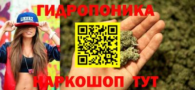 СК Гай